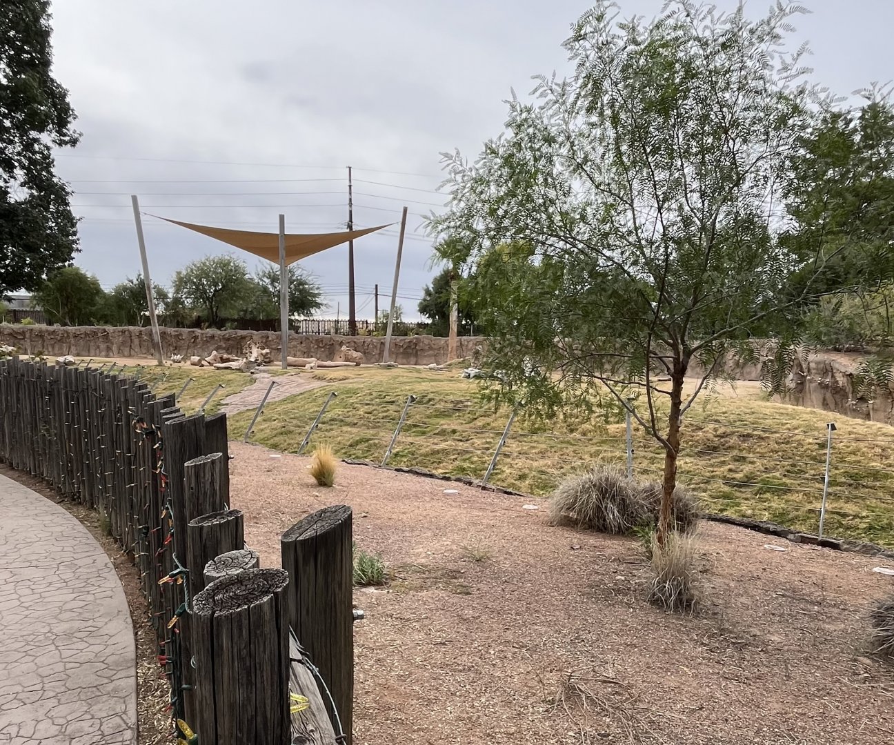 African Elephant Exhibit