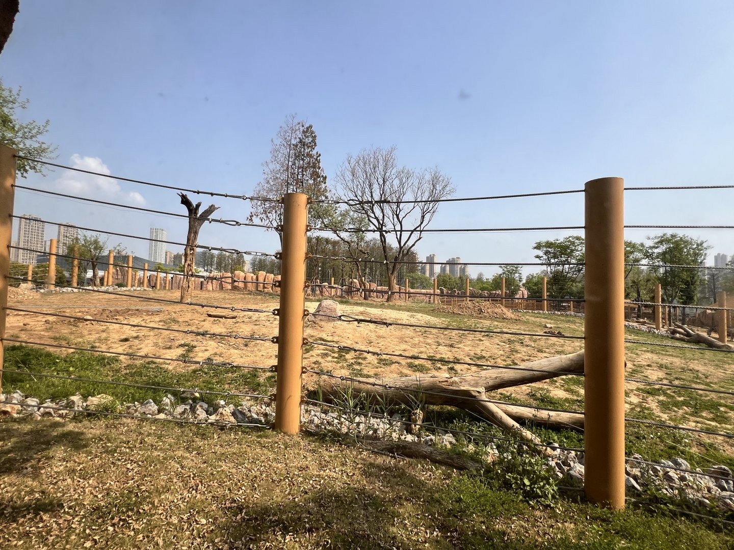 African Elephant Exhibit