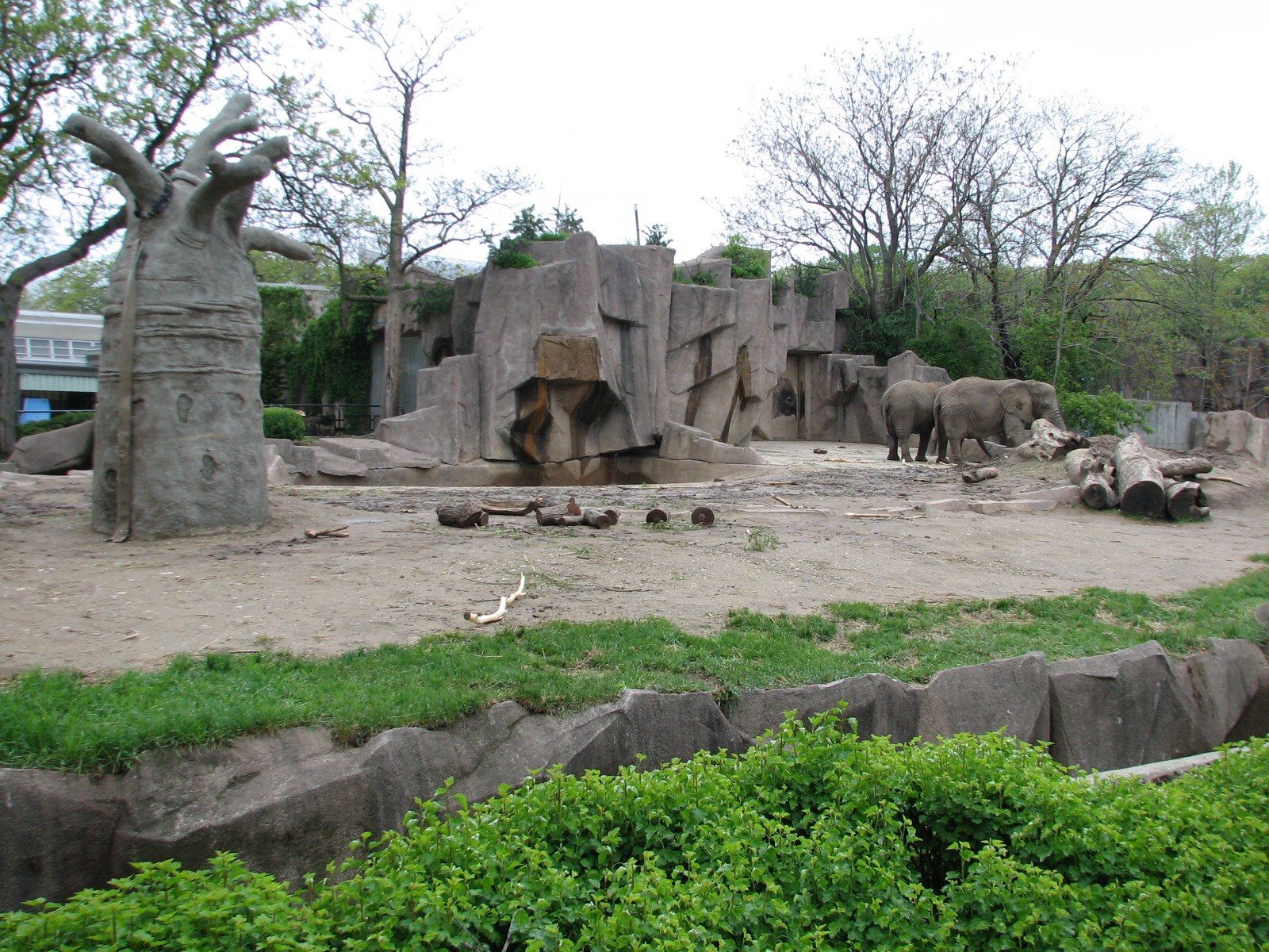 African Elephant Exhibit