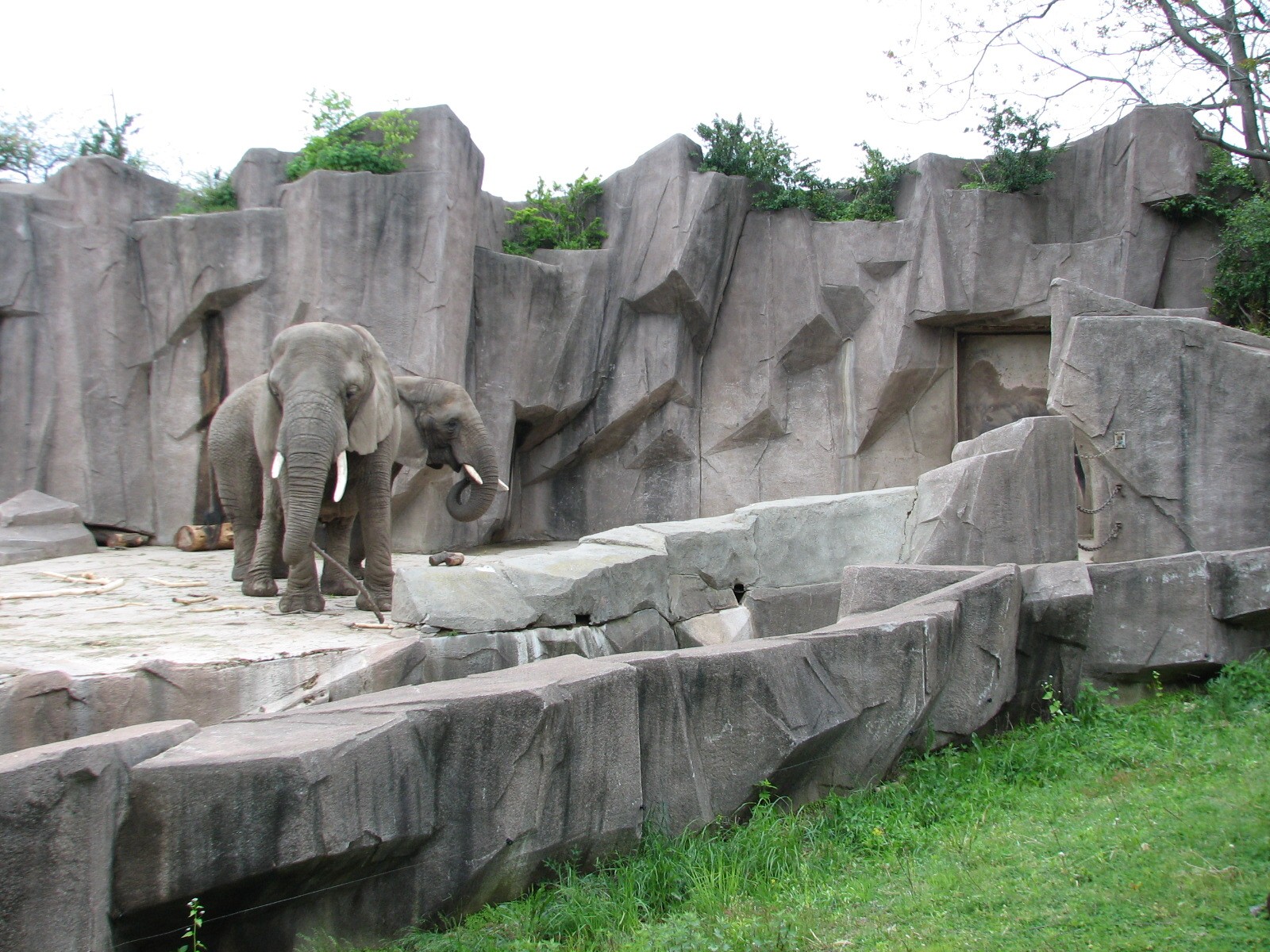 African Elephant Exhibit