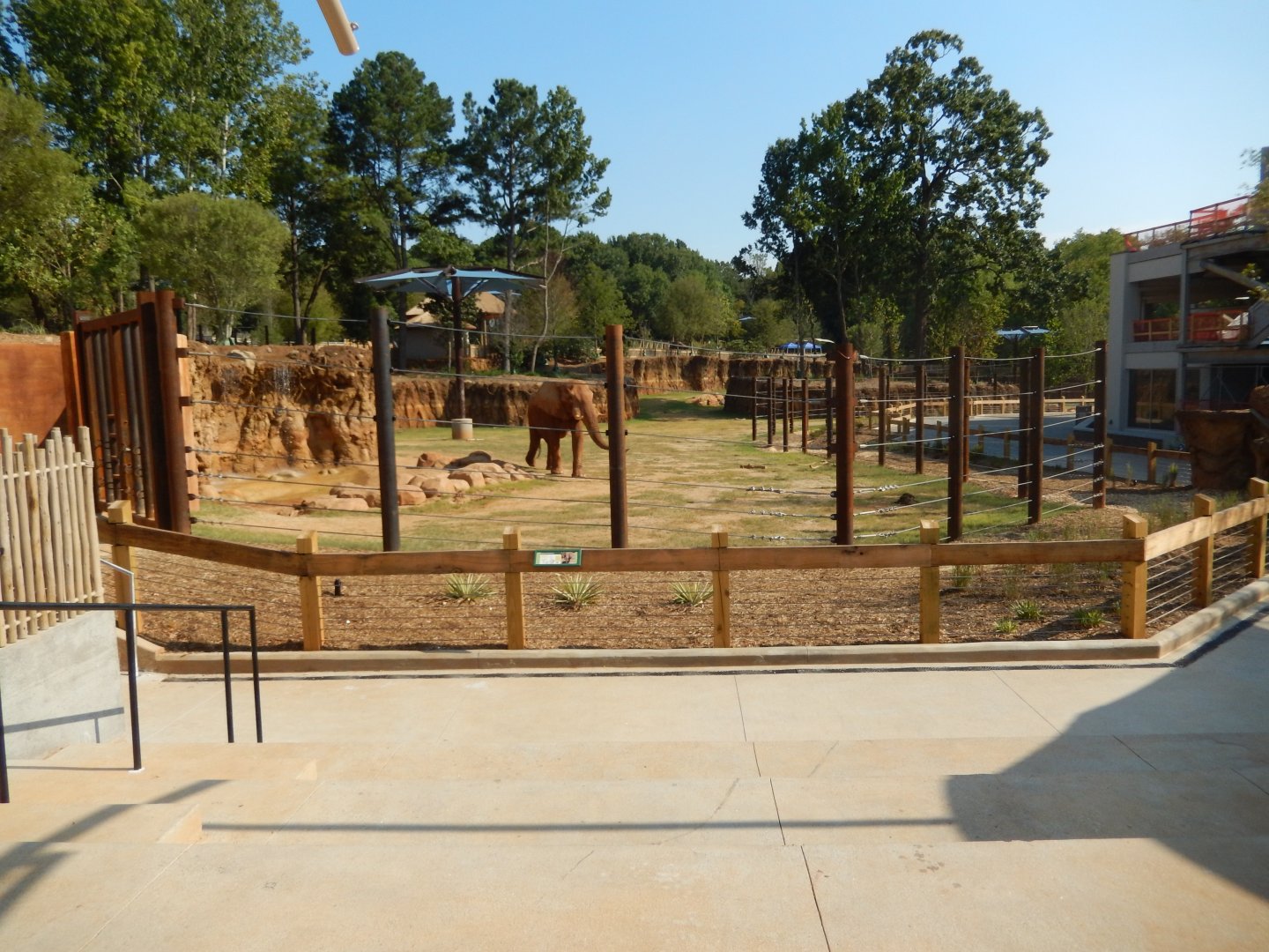 African Elephant Habitat - Amphitheater Area