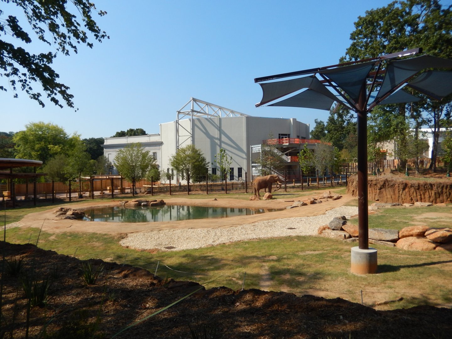 African Elephant Habitat (Left Half)