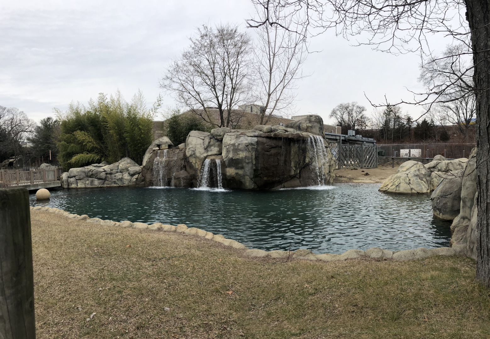 African Elephant Habitat (Left Side) - Feb, 2020