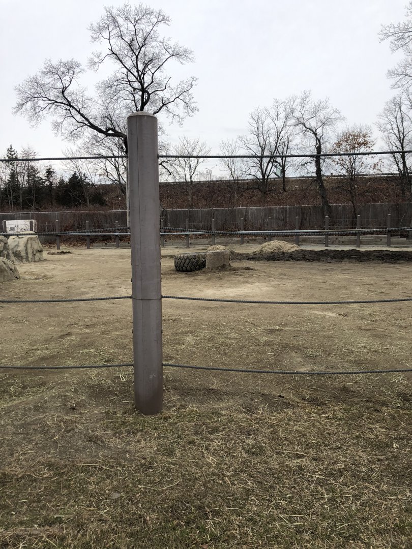 African Elephant Habitat (Mid Section) - Feb, 2020