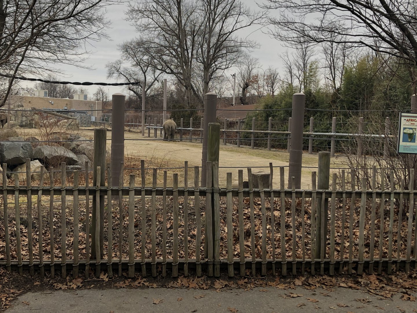 African Elephant Habitat (Right Side) - Feb, 2020
