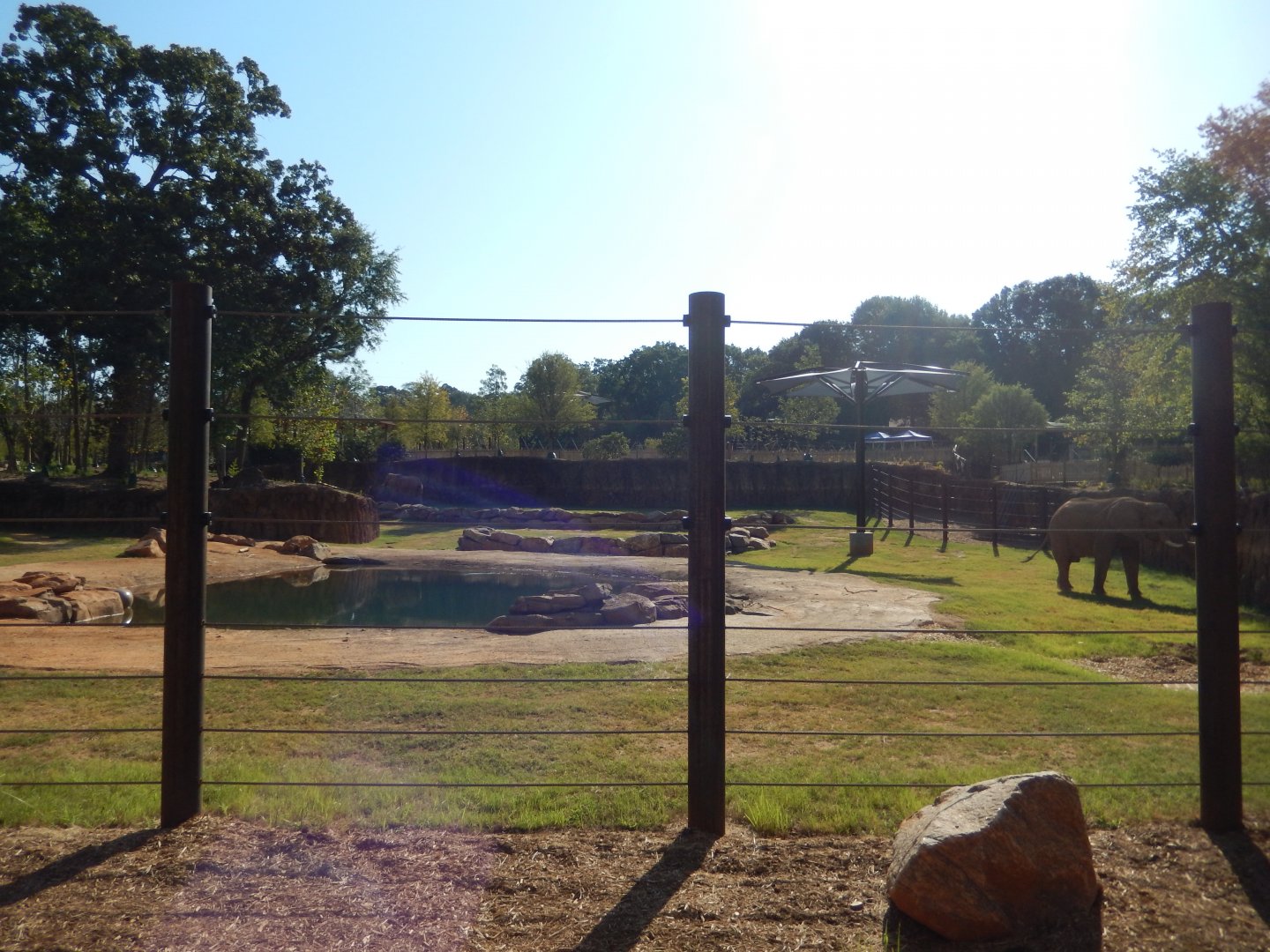 African Elephant Habitat
