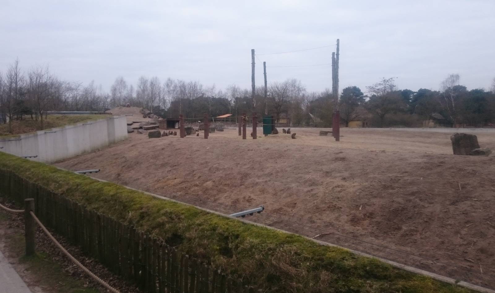 African elephant - Hamadryas baboon enclosure