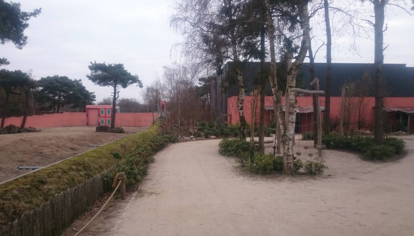 African elephant - Hamadryas baboon enclosure