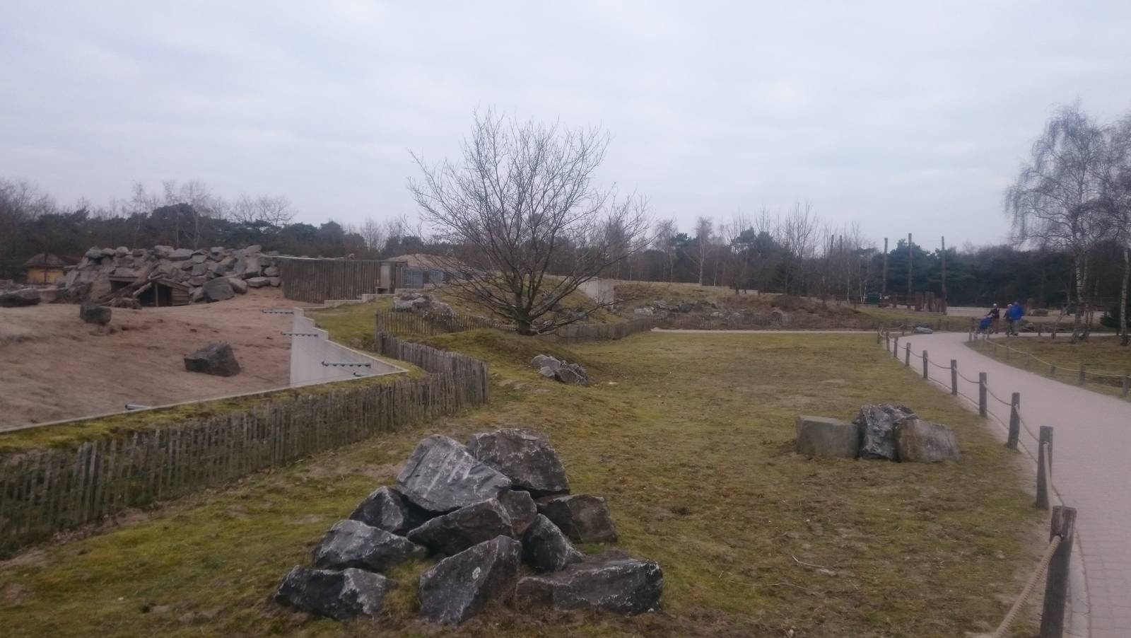 African elephant - Hamadryas baboon enclosure