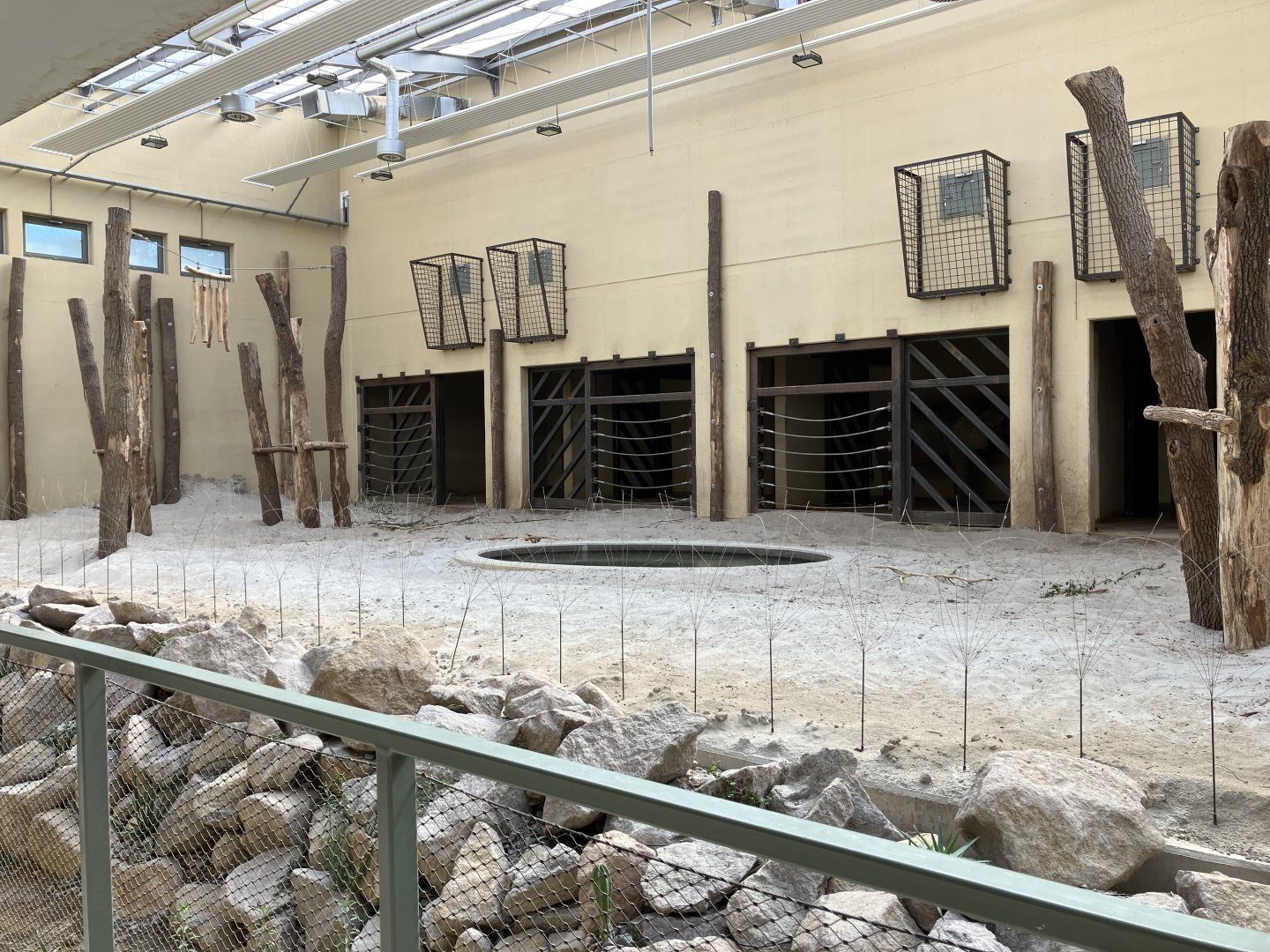 African elephant herd indoor exhibit-09/2023