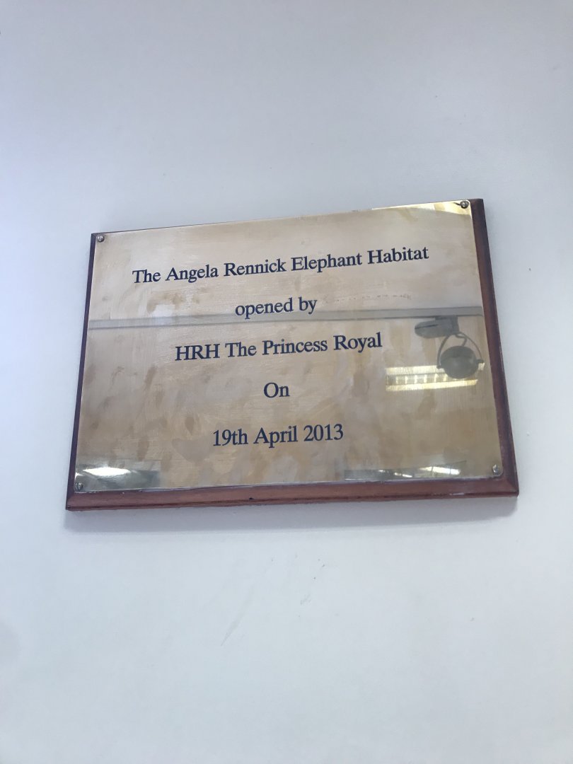 African elephant house opening date