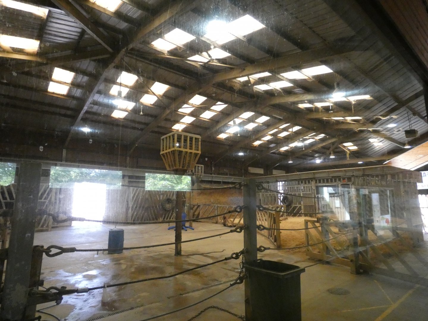 African Elephant house