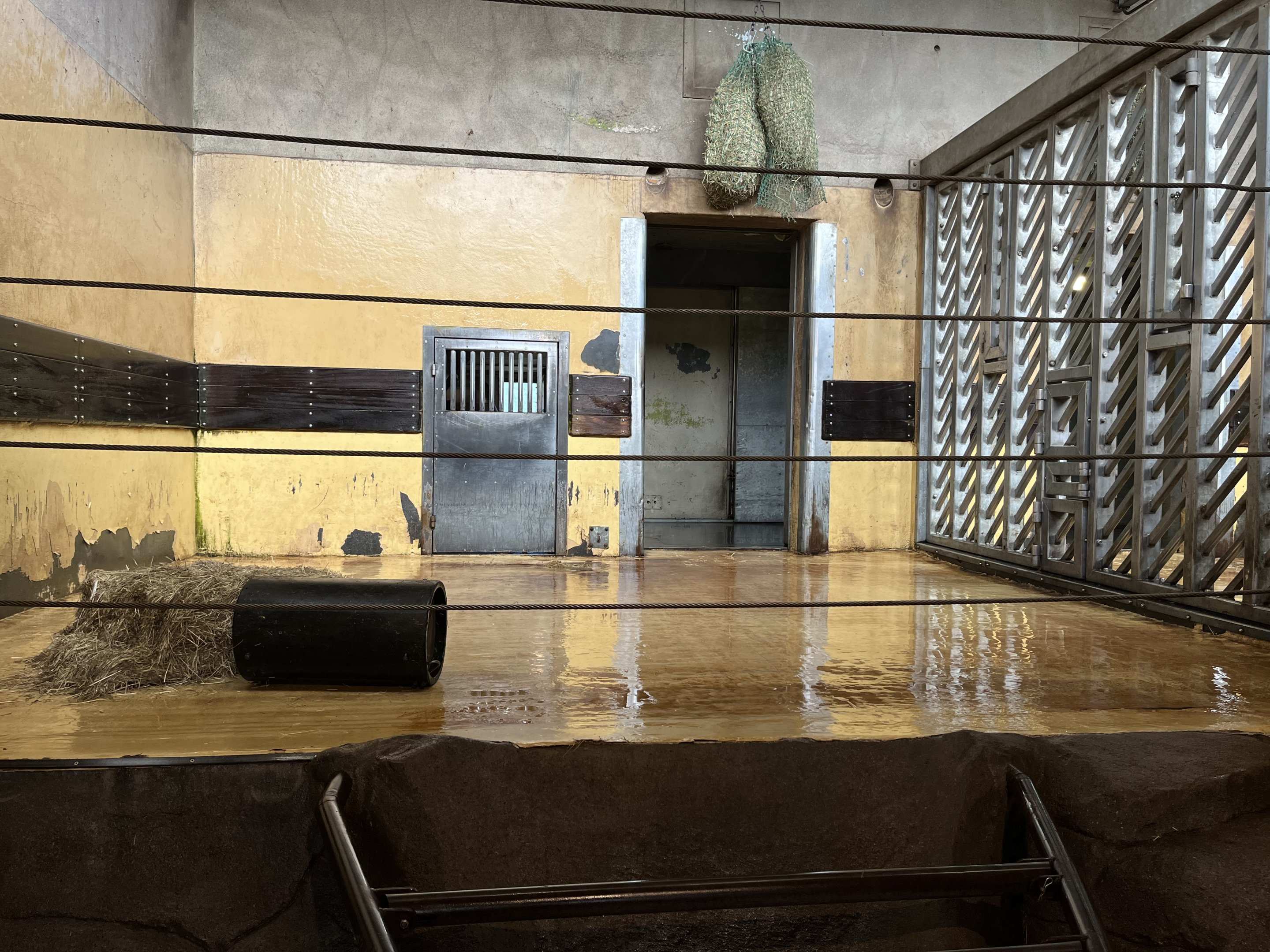 African Elephant House