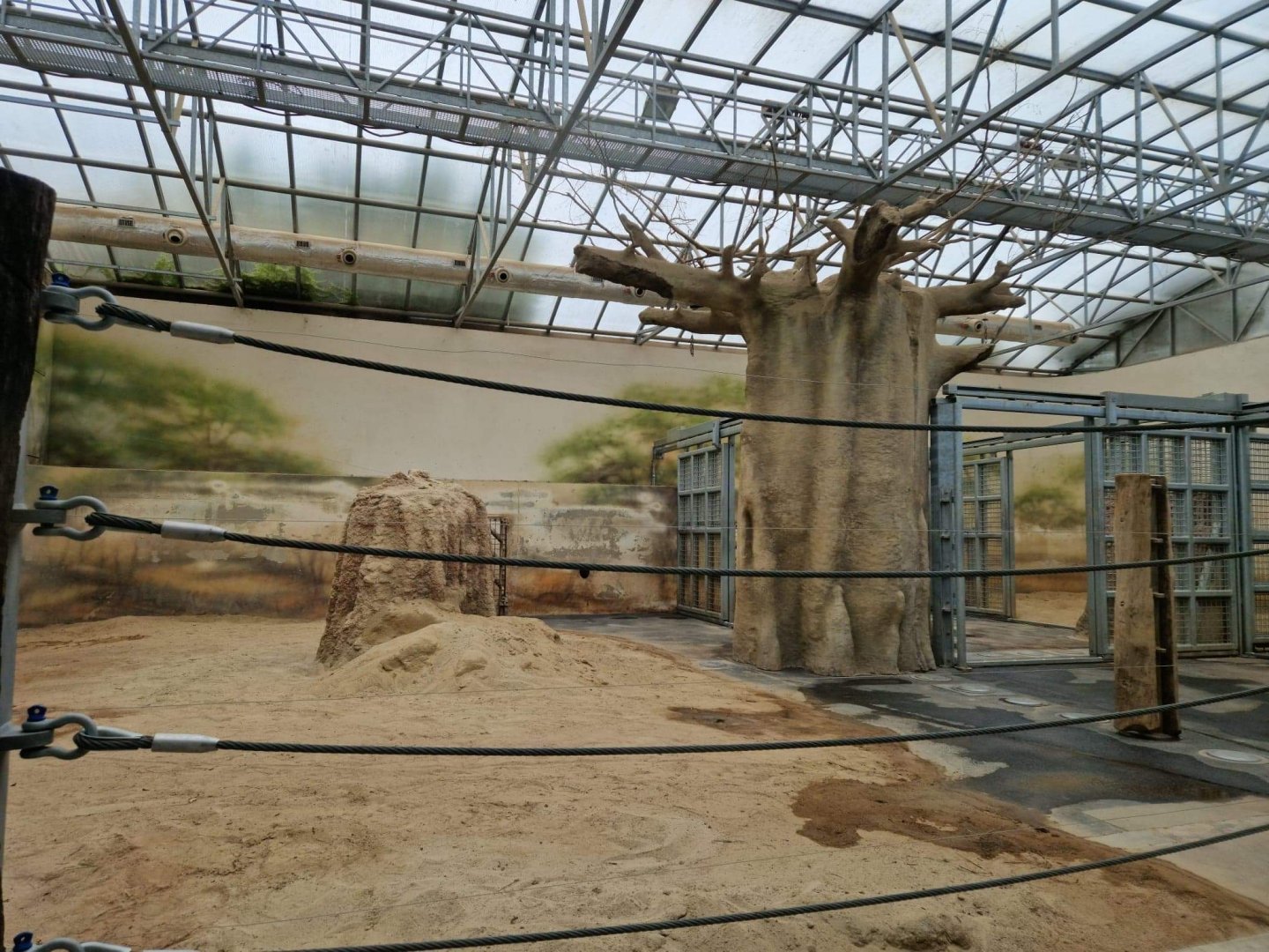 African Elephant house