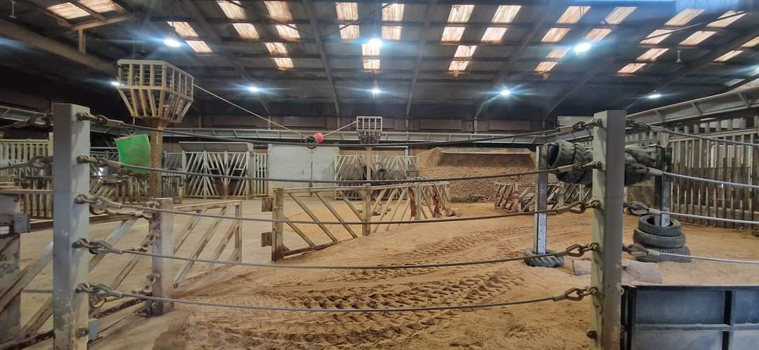 African Elephant house