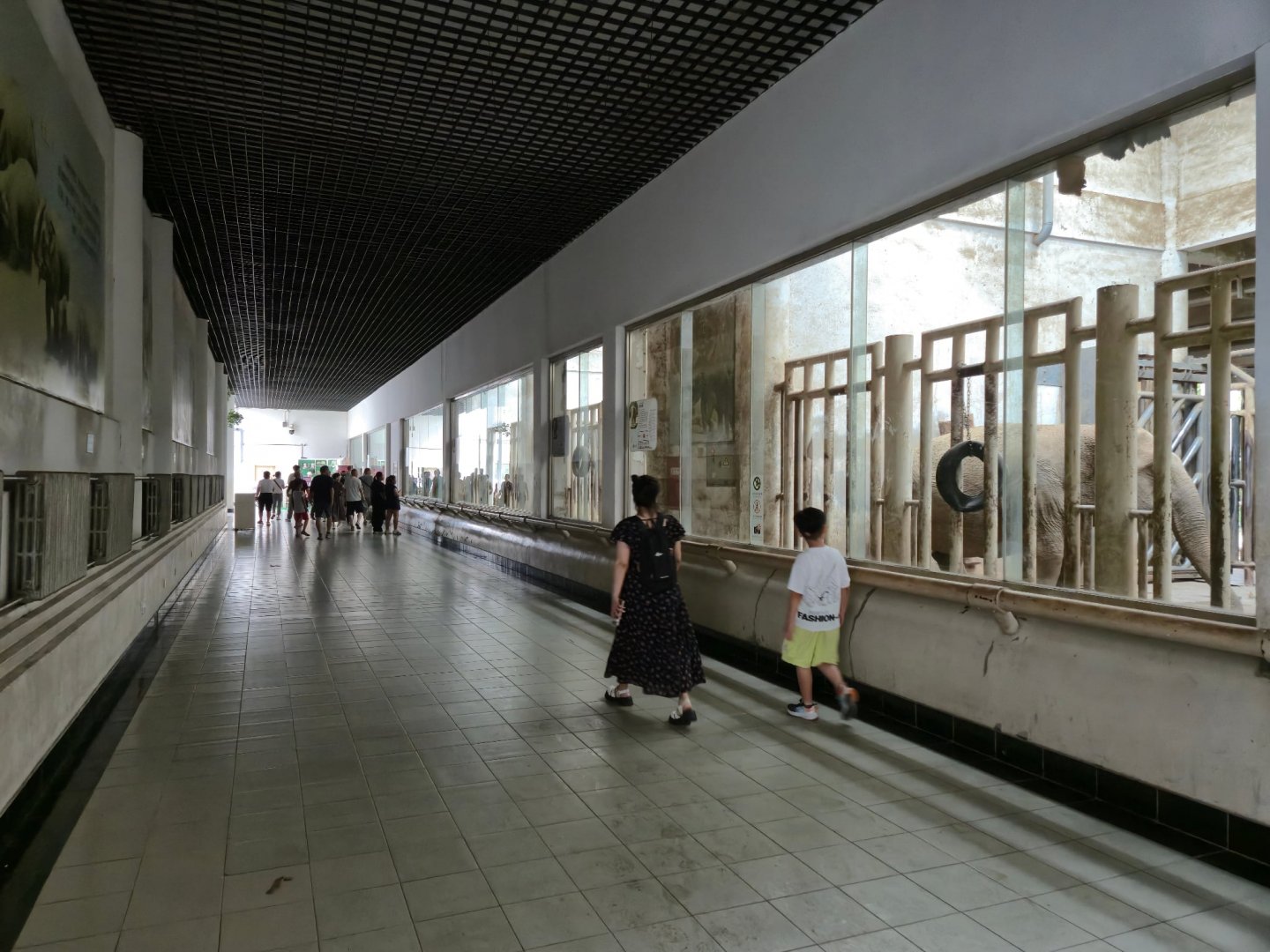 African Elephant House