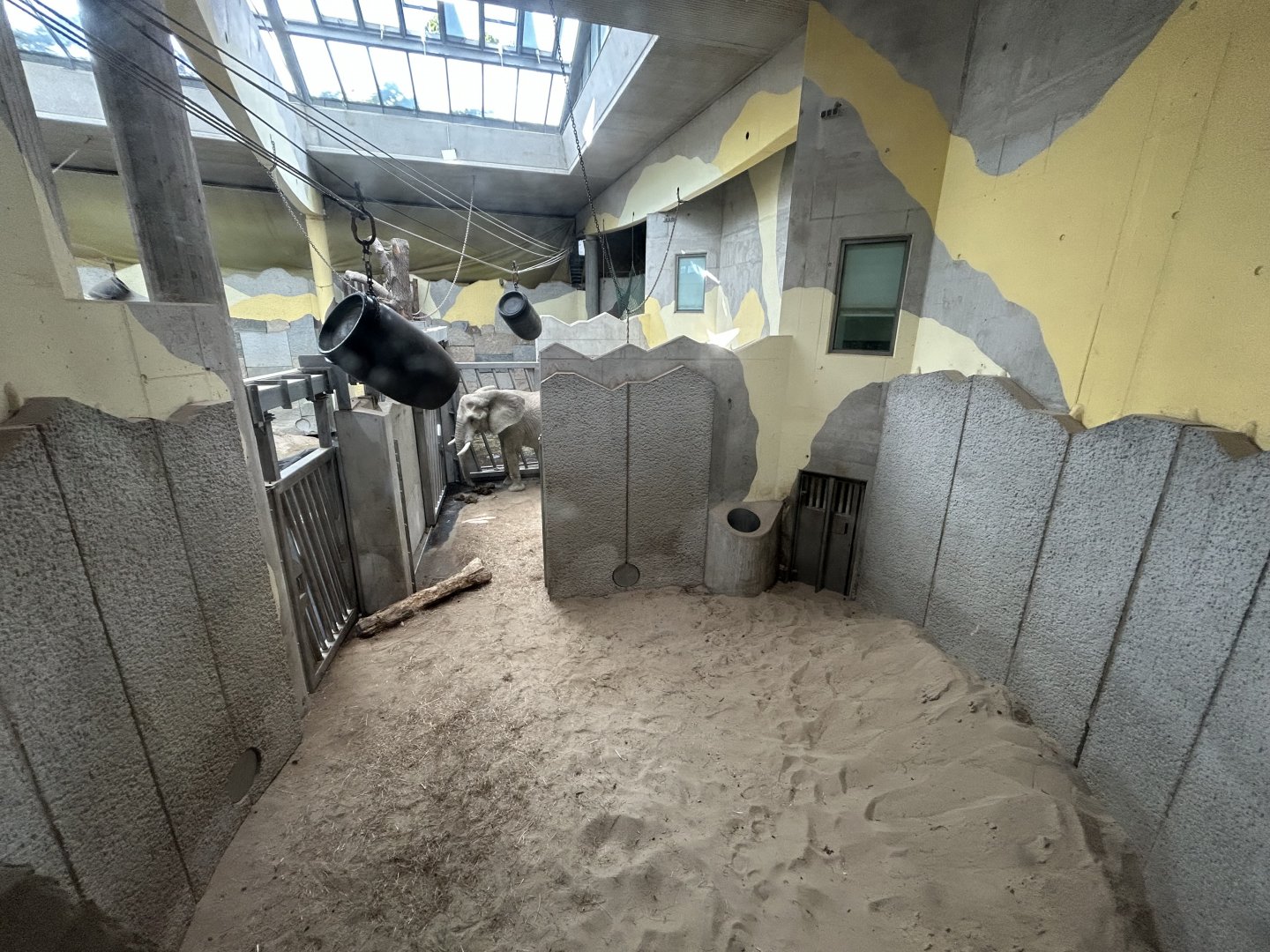 African Elephant House