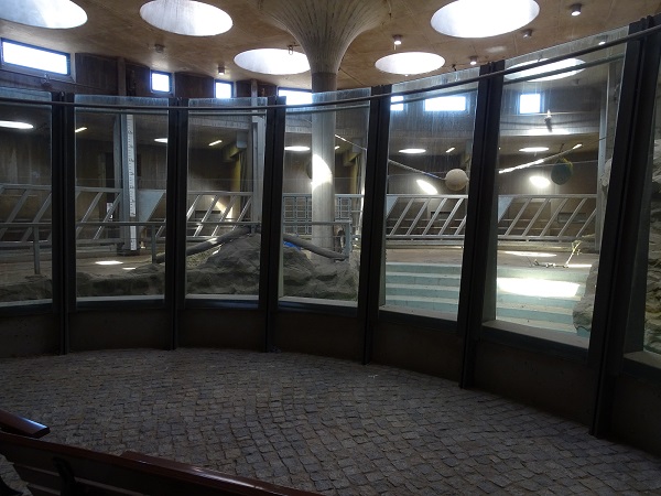 African elephant indoor enclosure (04/22)