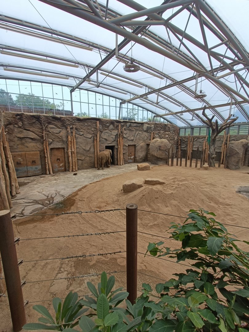 African Elephant indoor enclosure - Afrika-Haus