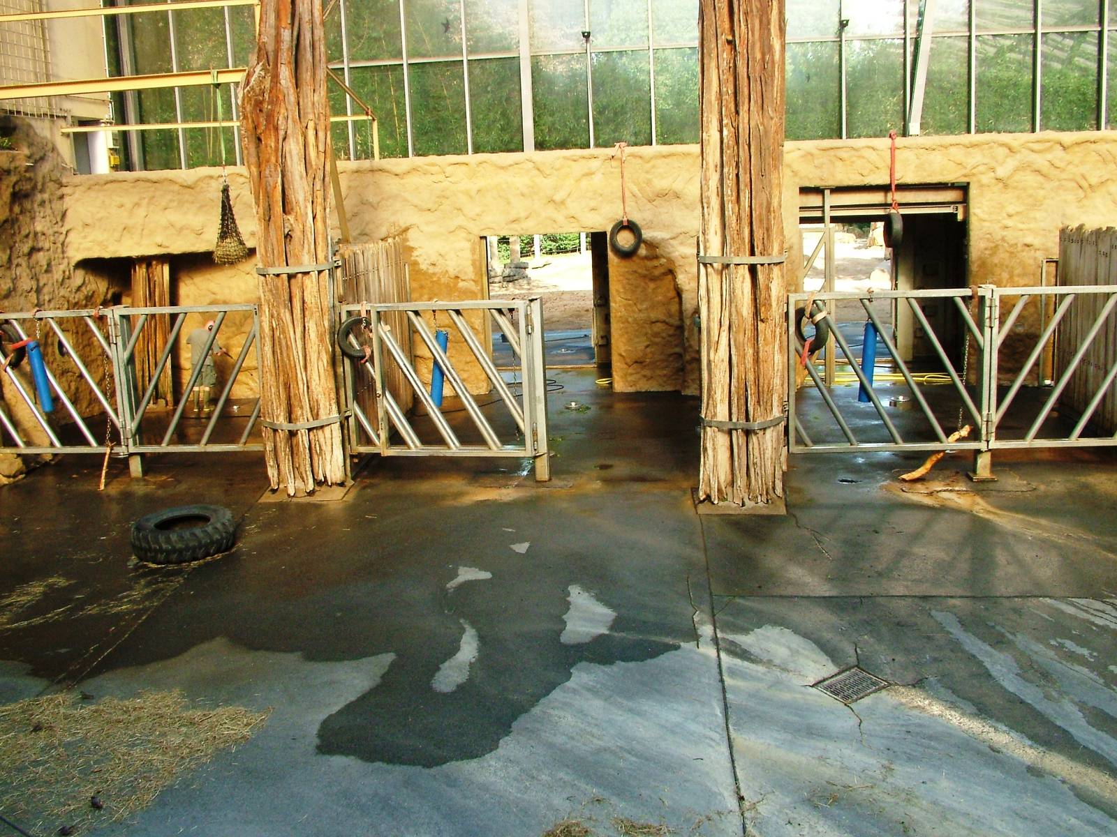 African Elephant Indoor Exhibit at Dresden, 29/08/12