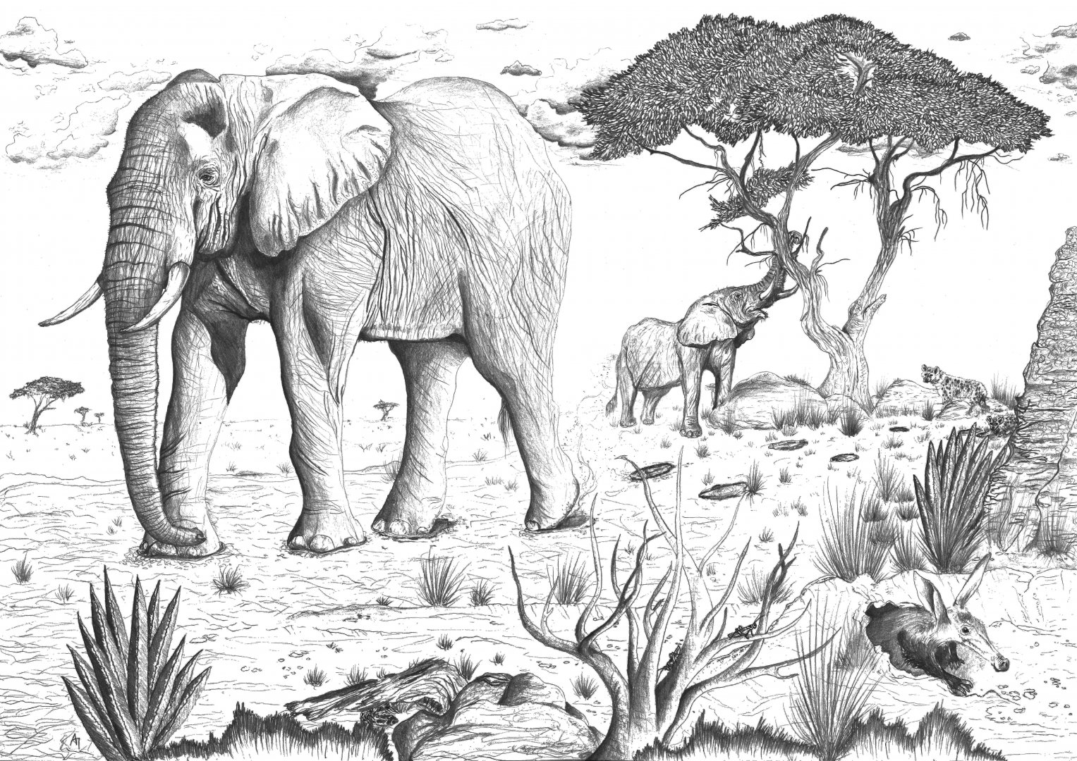 African Elephant landscape drawing
