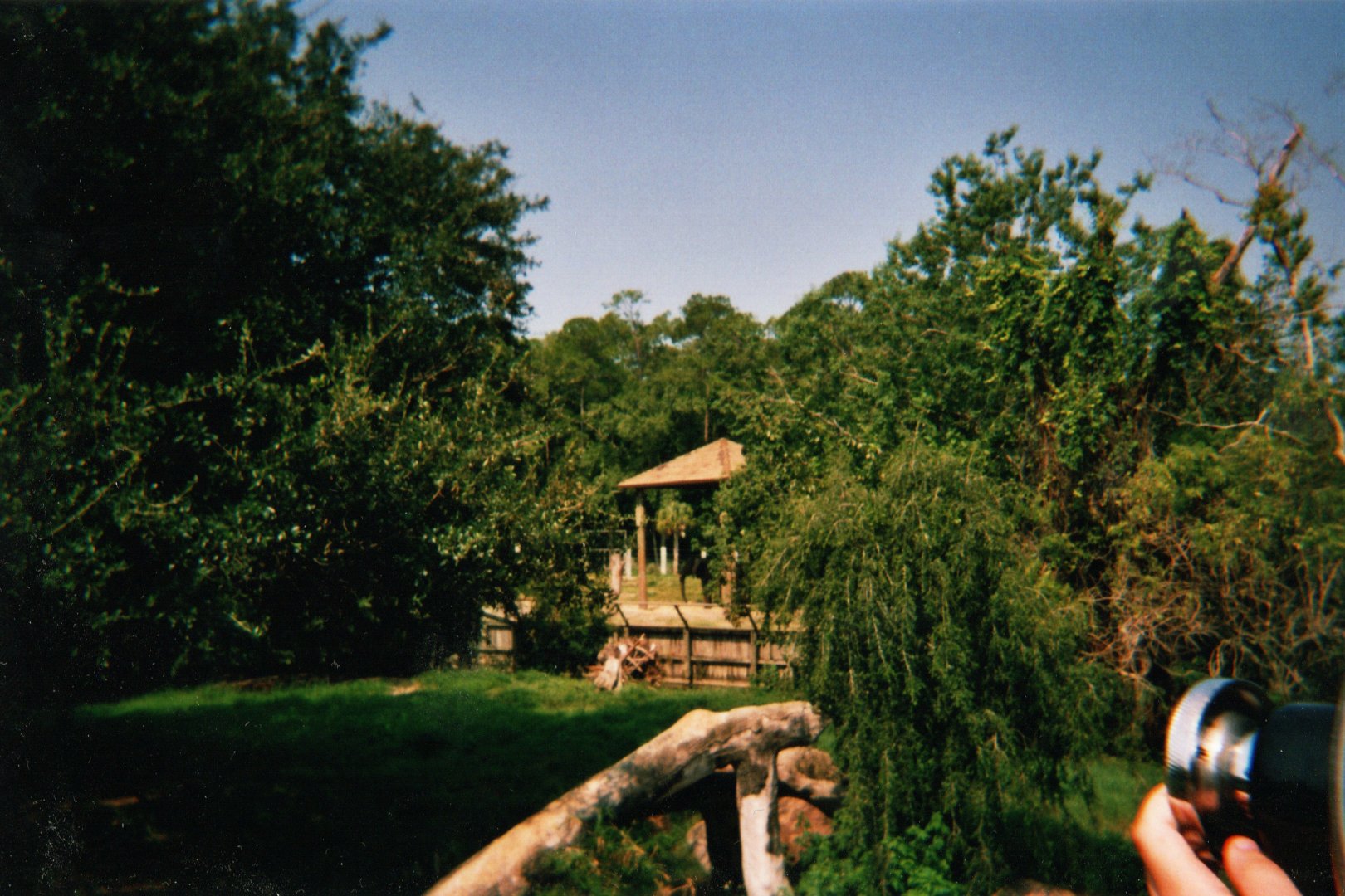 African Elephant & Lion Exhibit