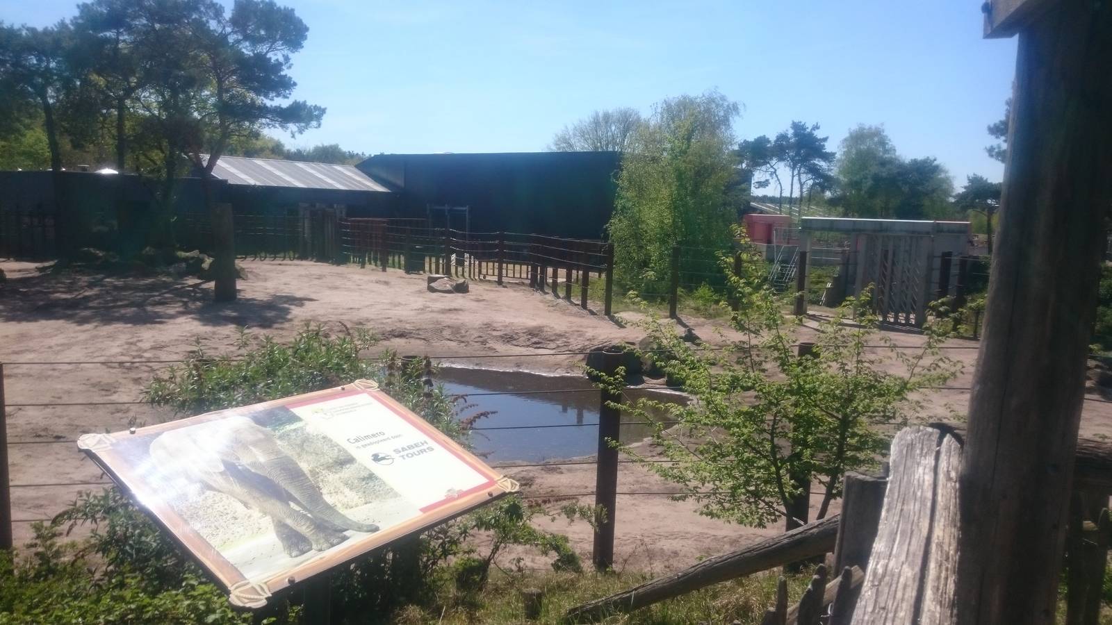 African elephant - male enclosure