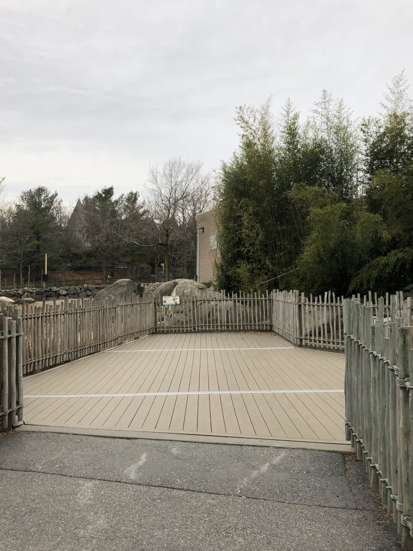 African Elephant/Masai Giraffe Viewing Platform - Feb, 2020