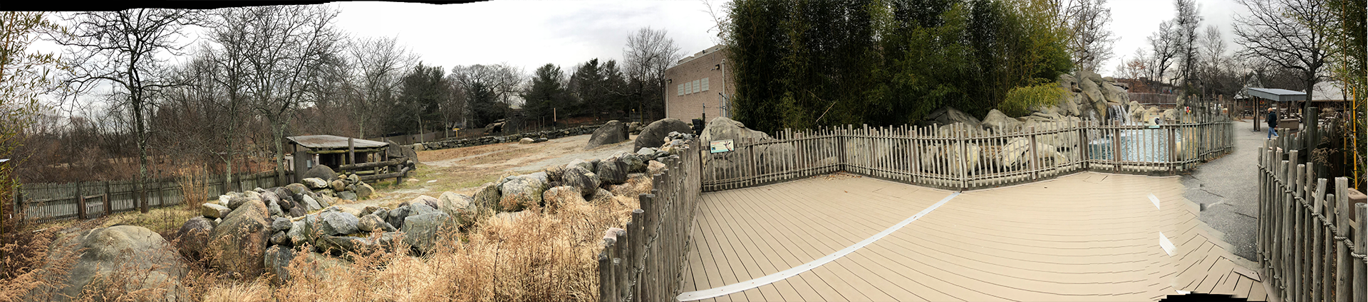 African Elephant/Masai Giraffe Viewing Platform Panorama - Feb, 2020