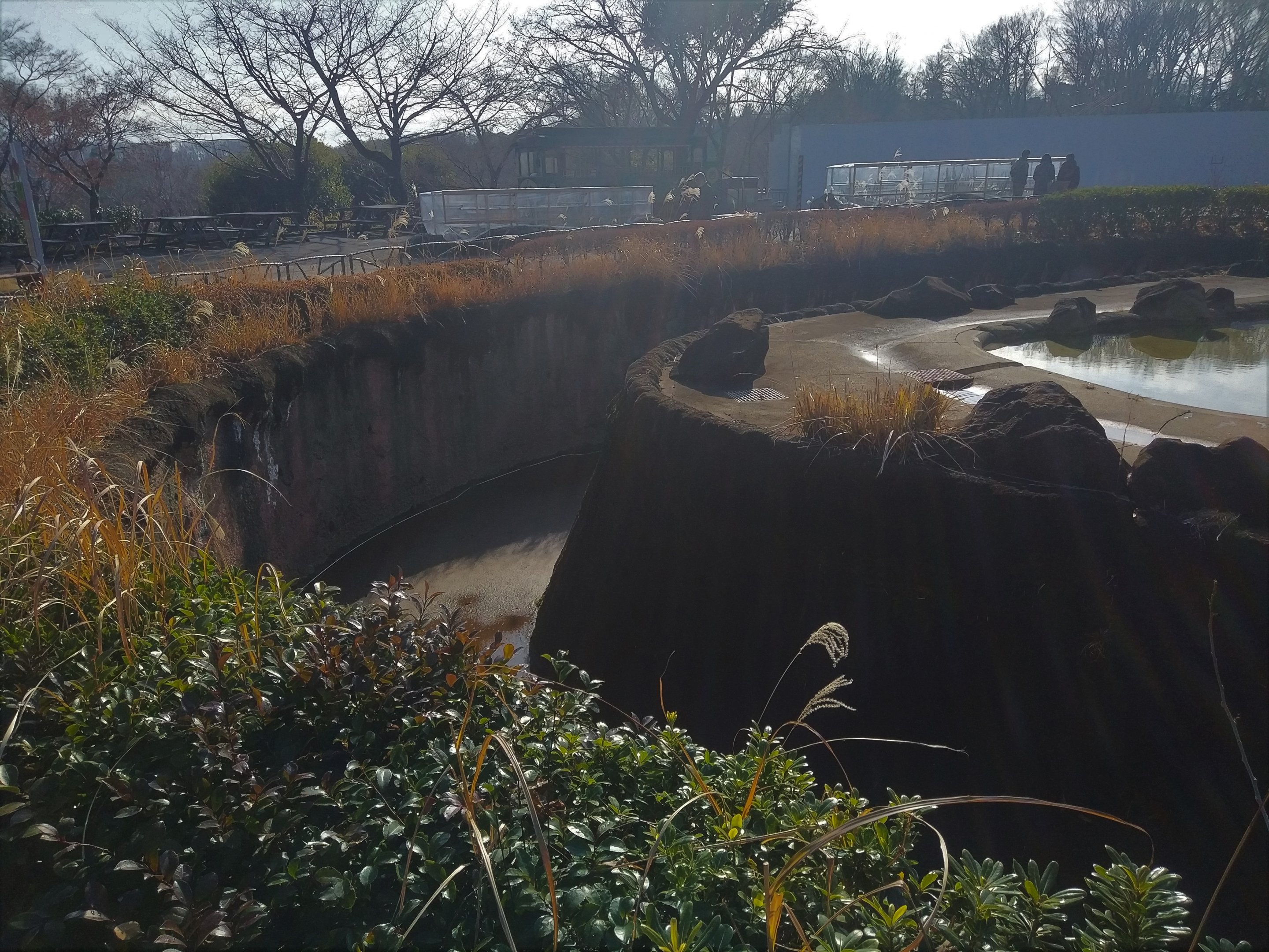 African Elephant Moat