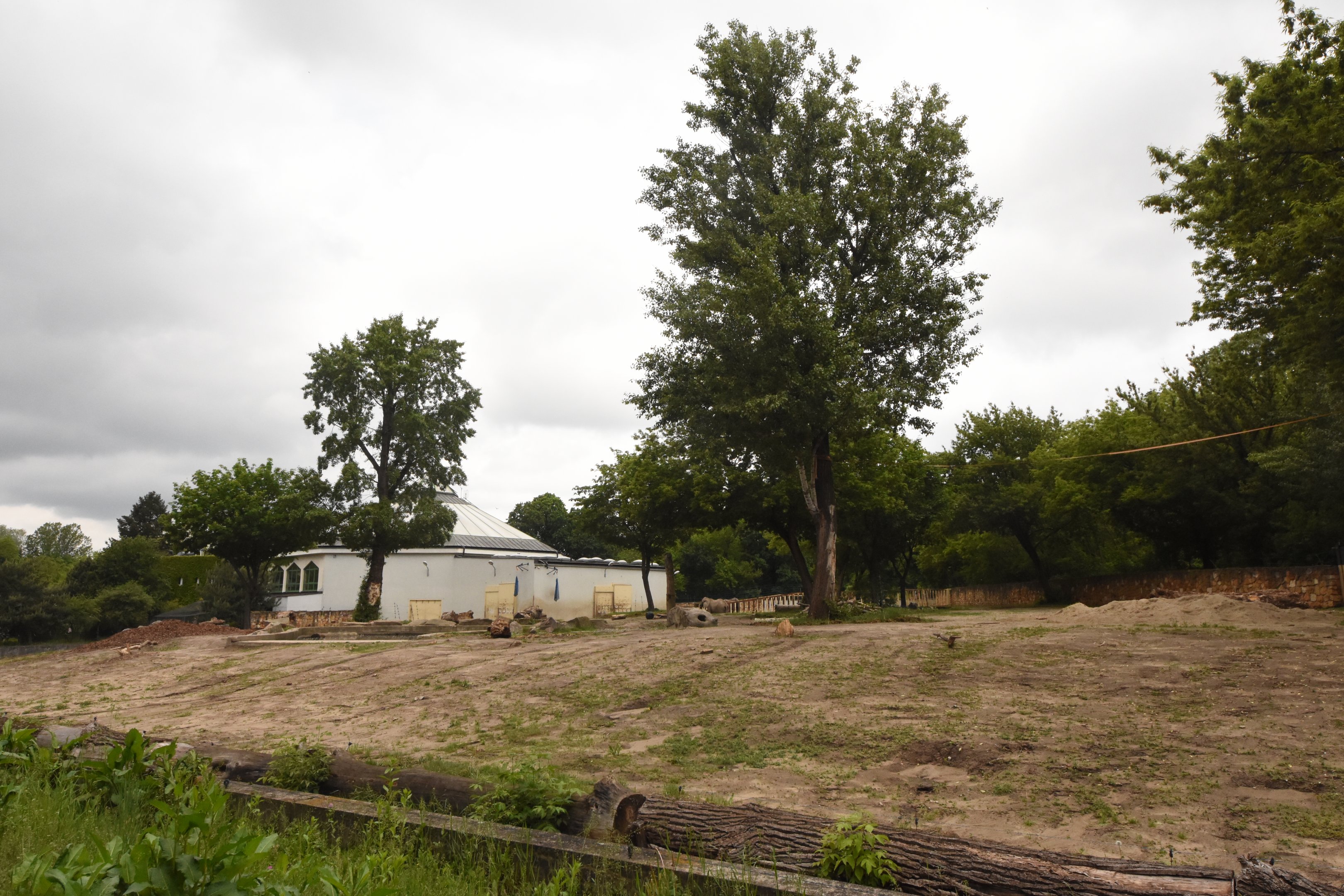 African elephant outdoor enclosure