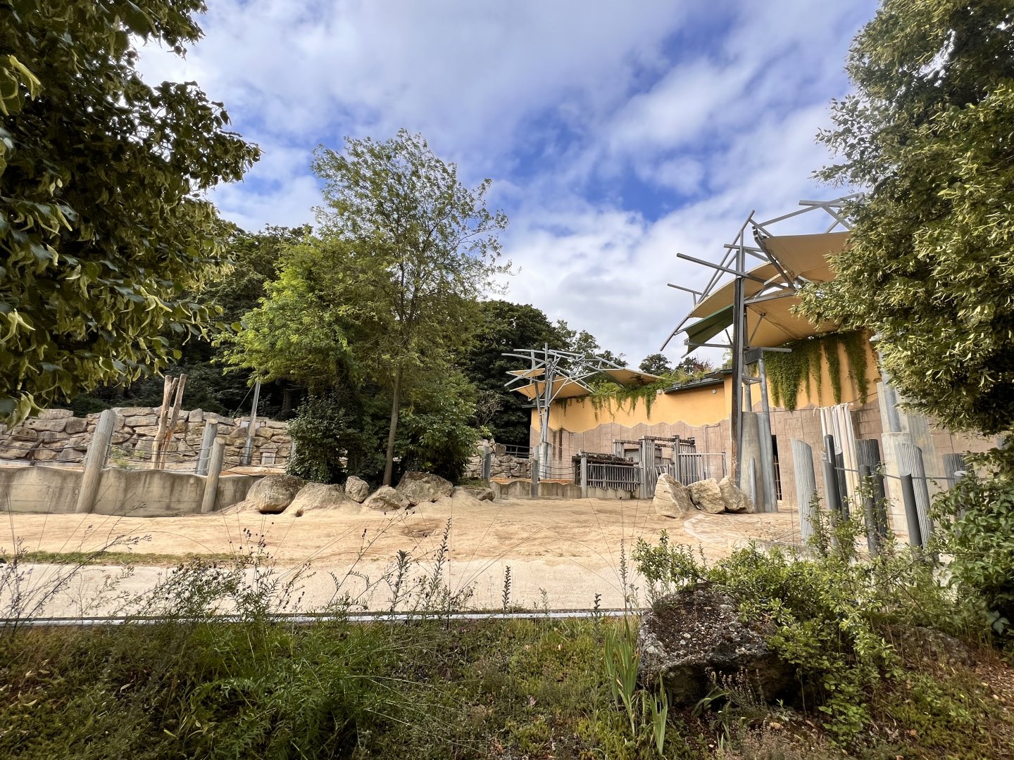 African Elephant Outdoor Exhibit