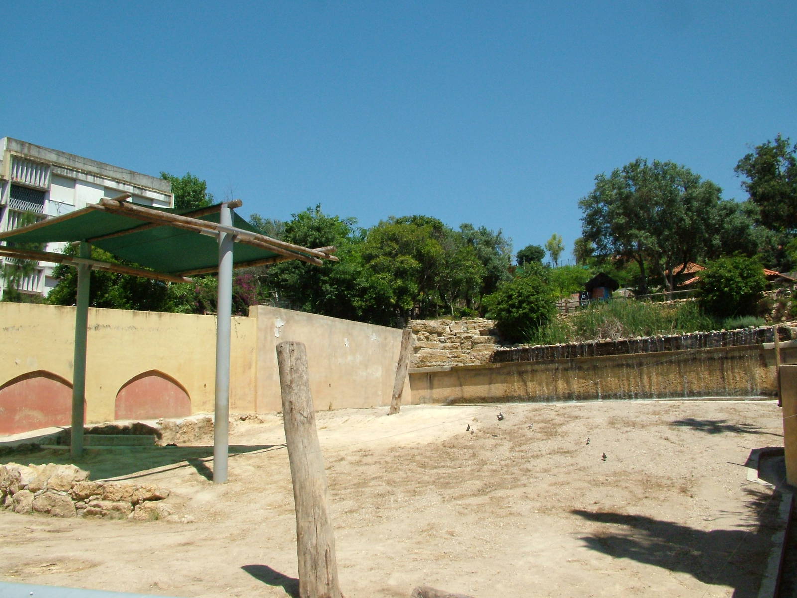 African Elephant Paddock 2 at Lisbon Zoo, 24/05/11
