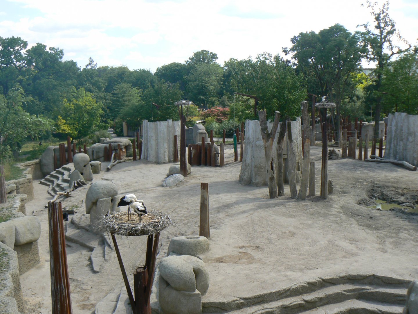 African Elephant paddock - 27 June 2018