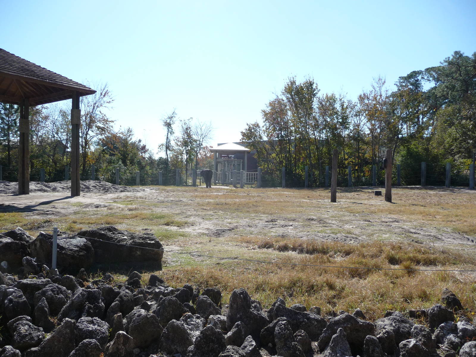 African Elephant Paddock