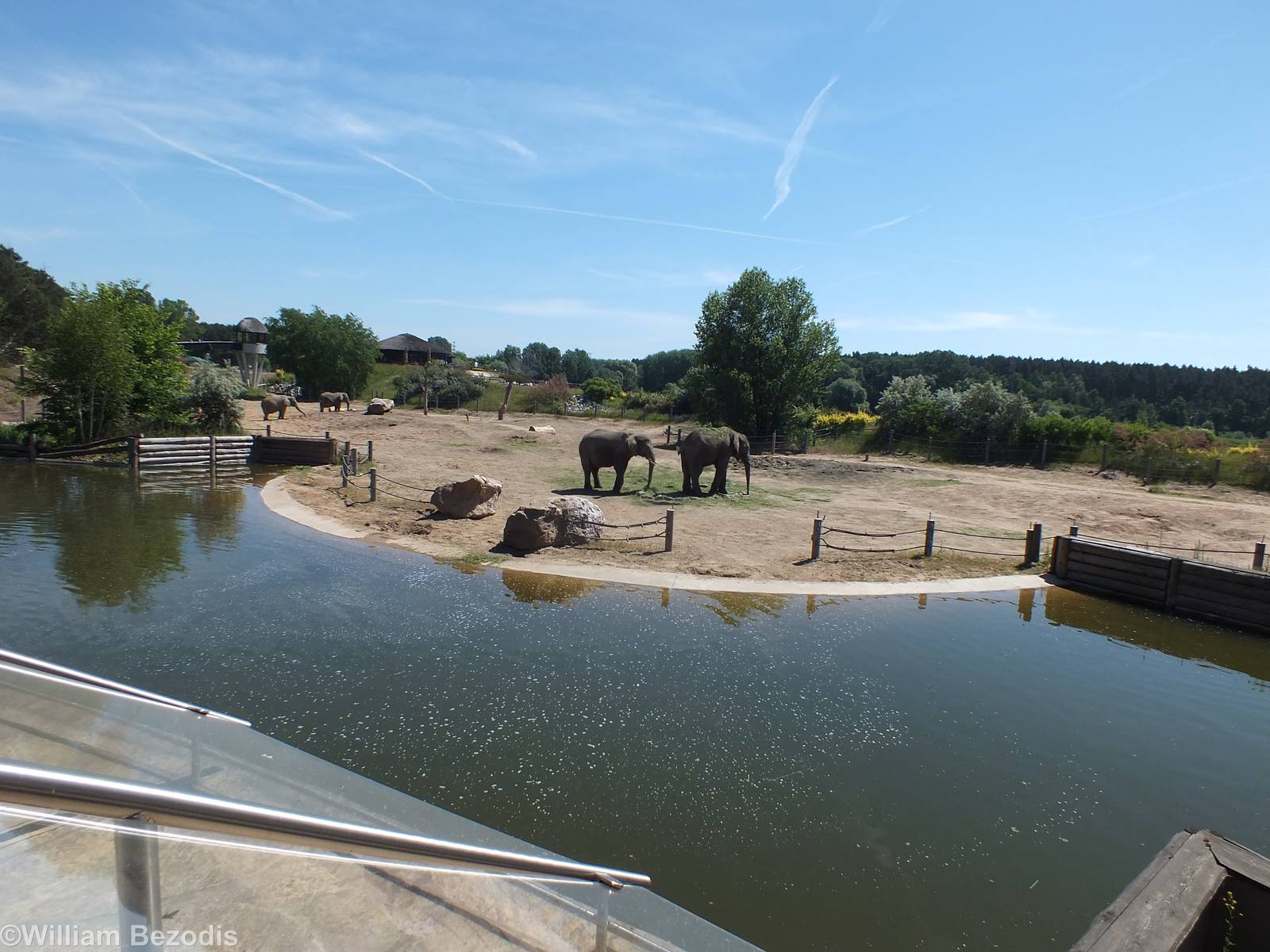 African Elephant Paddock