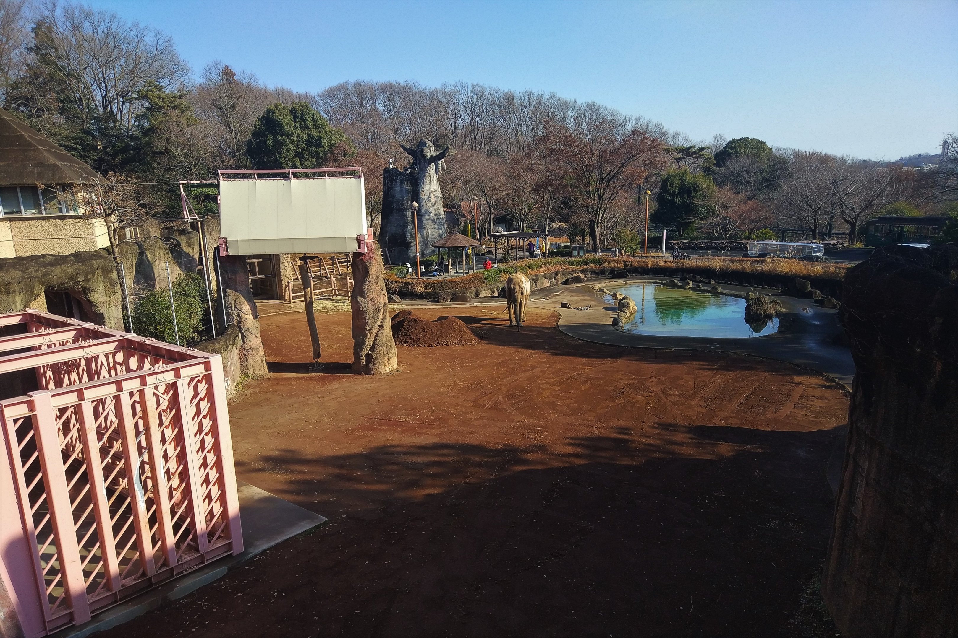 African Elephant Paddock