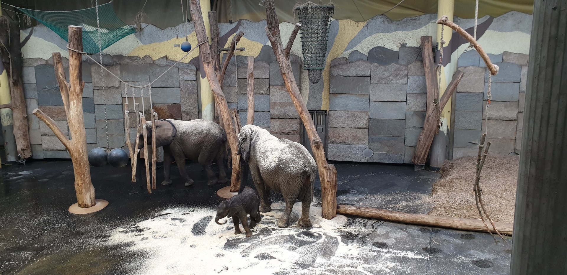 African Elephant Park, Indoor