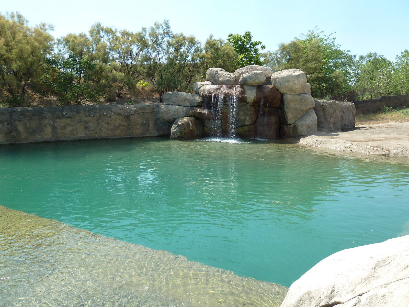 African Elephant Pool