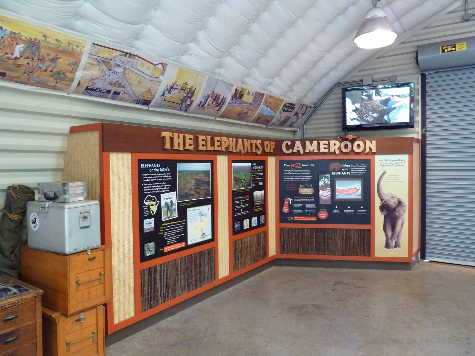 African Elephant Research Station