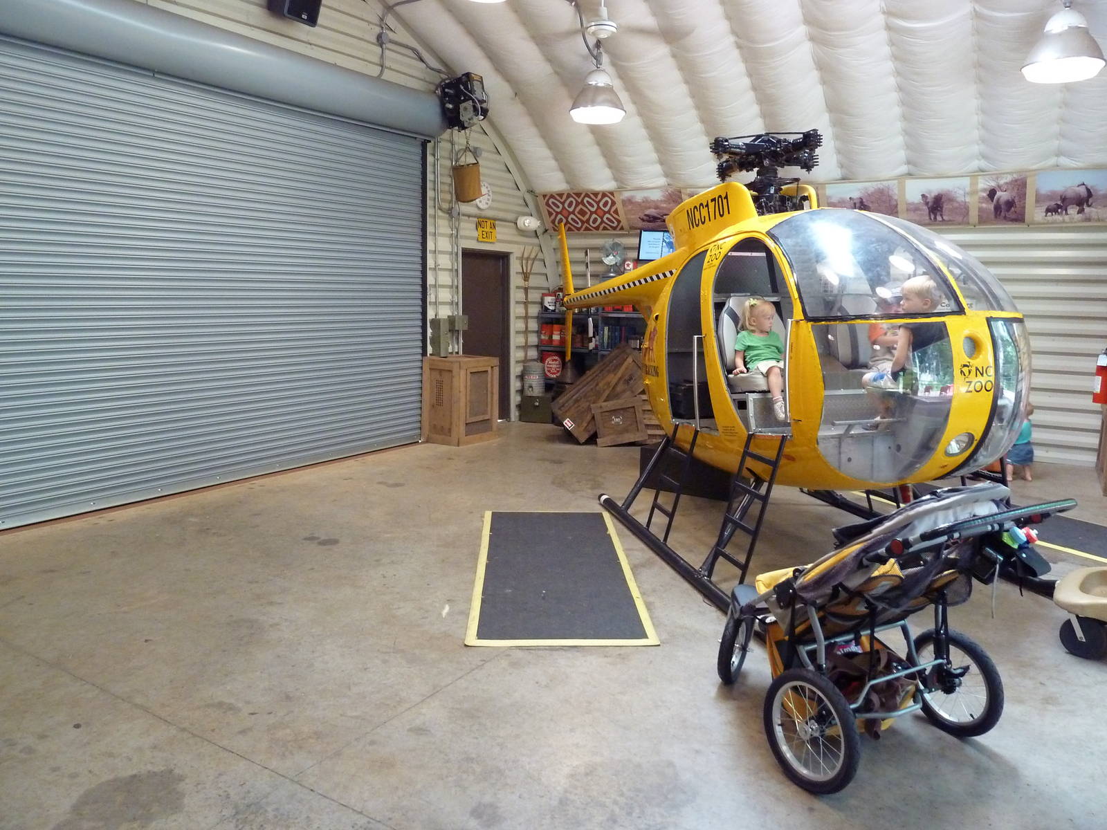 African Elephant Research Station