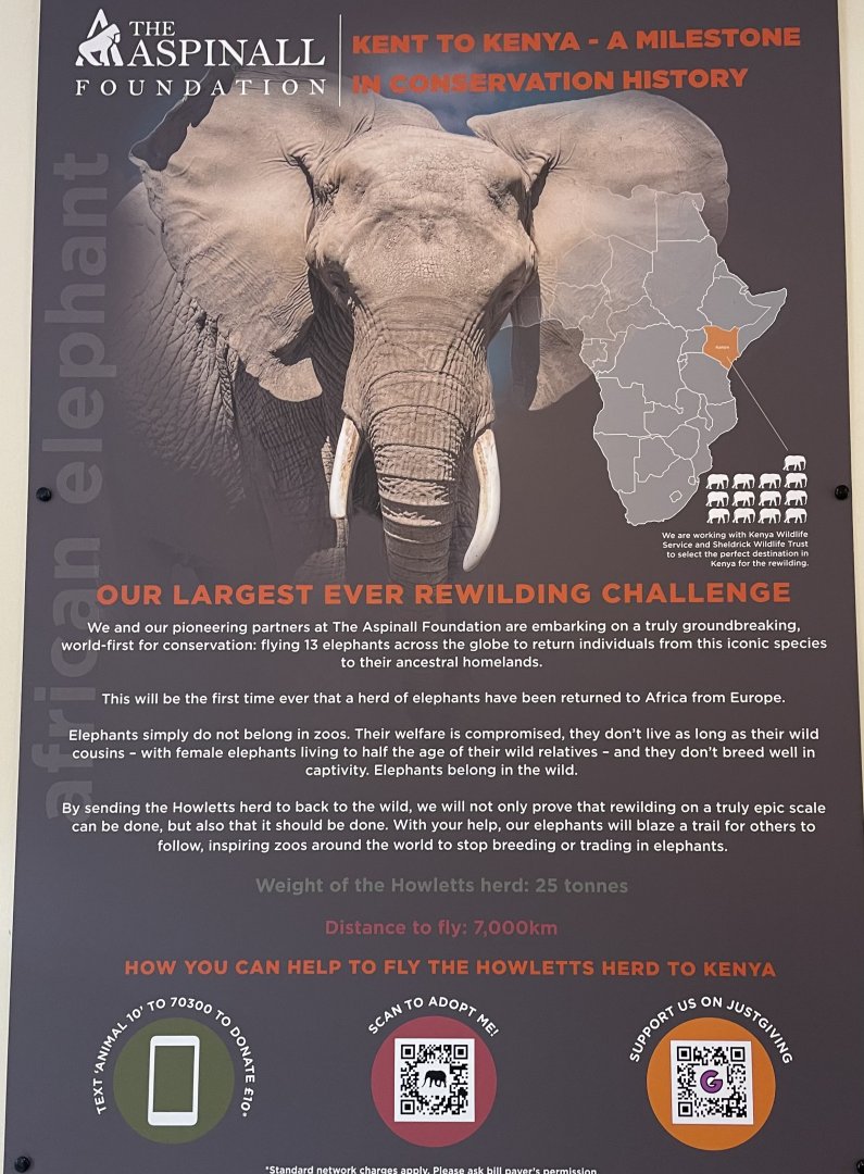 African Elephant Rewilding Project
