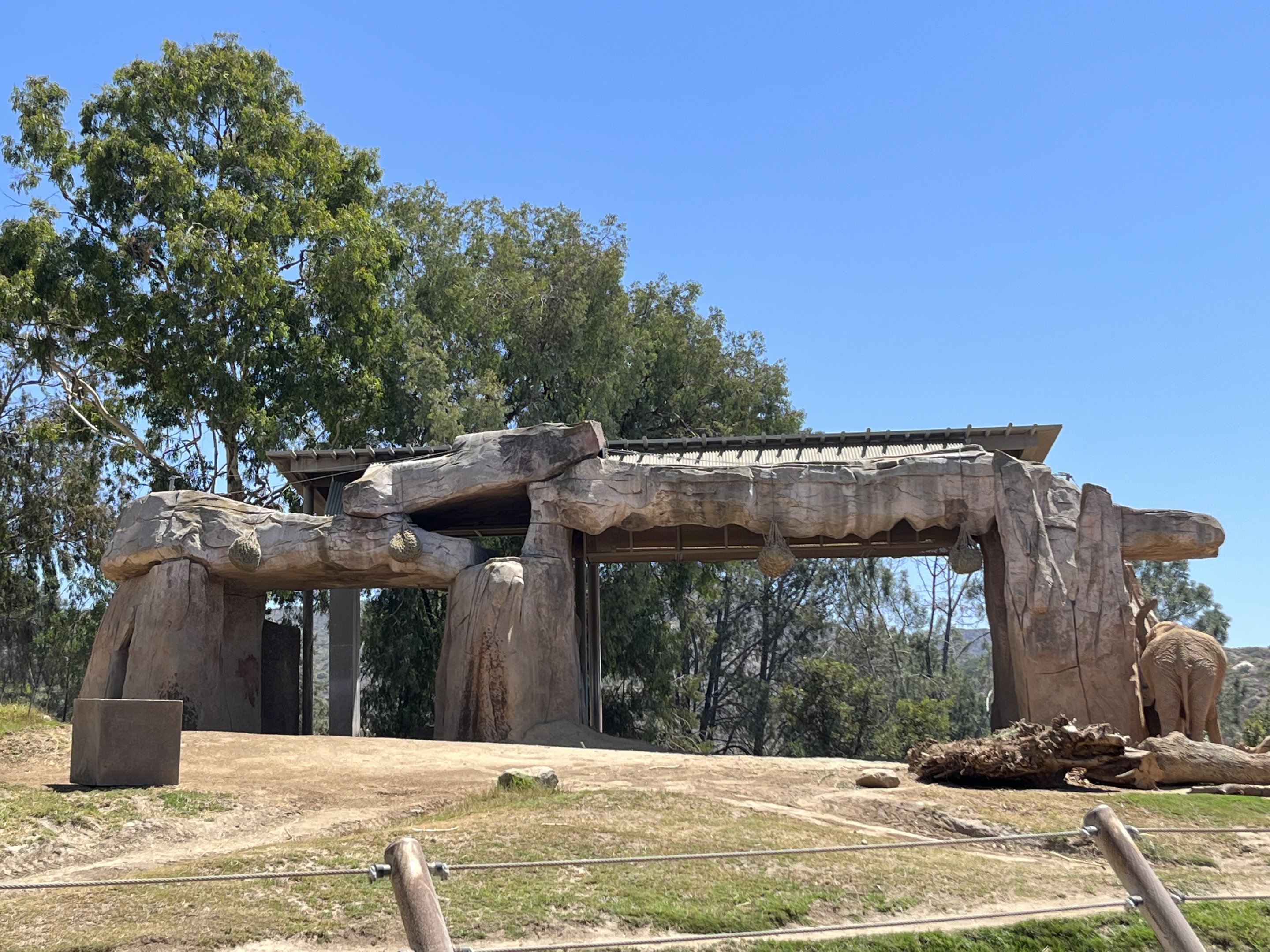 African Elephant Shade Structure