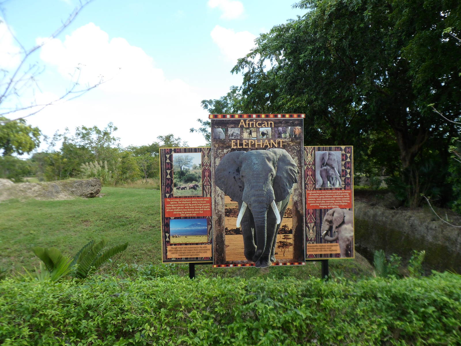 African Elephant Sign