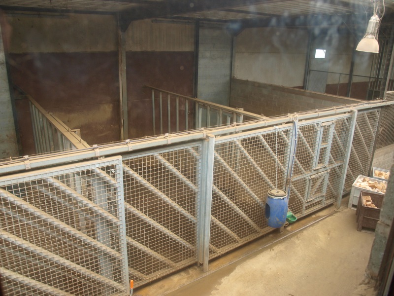 African elephant stables (April 19th, 2015)