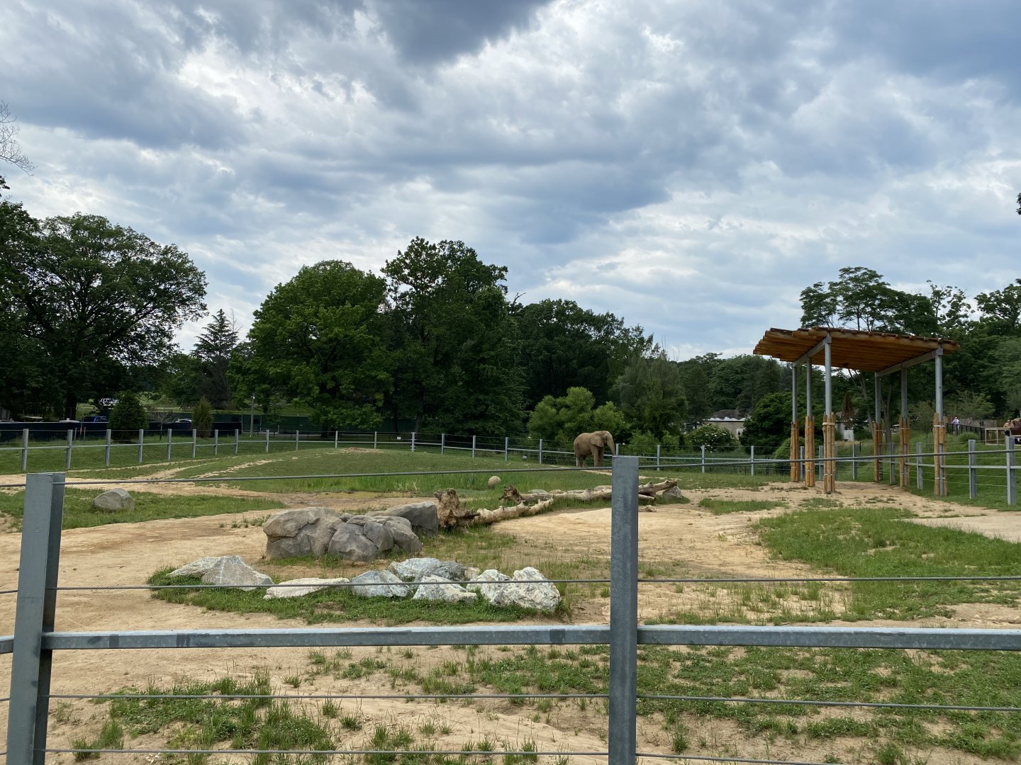 African Elephant Upper Yard