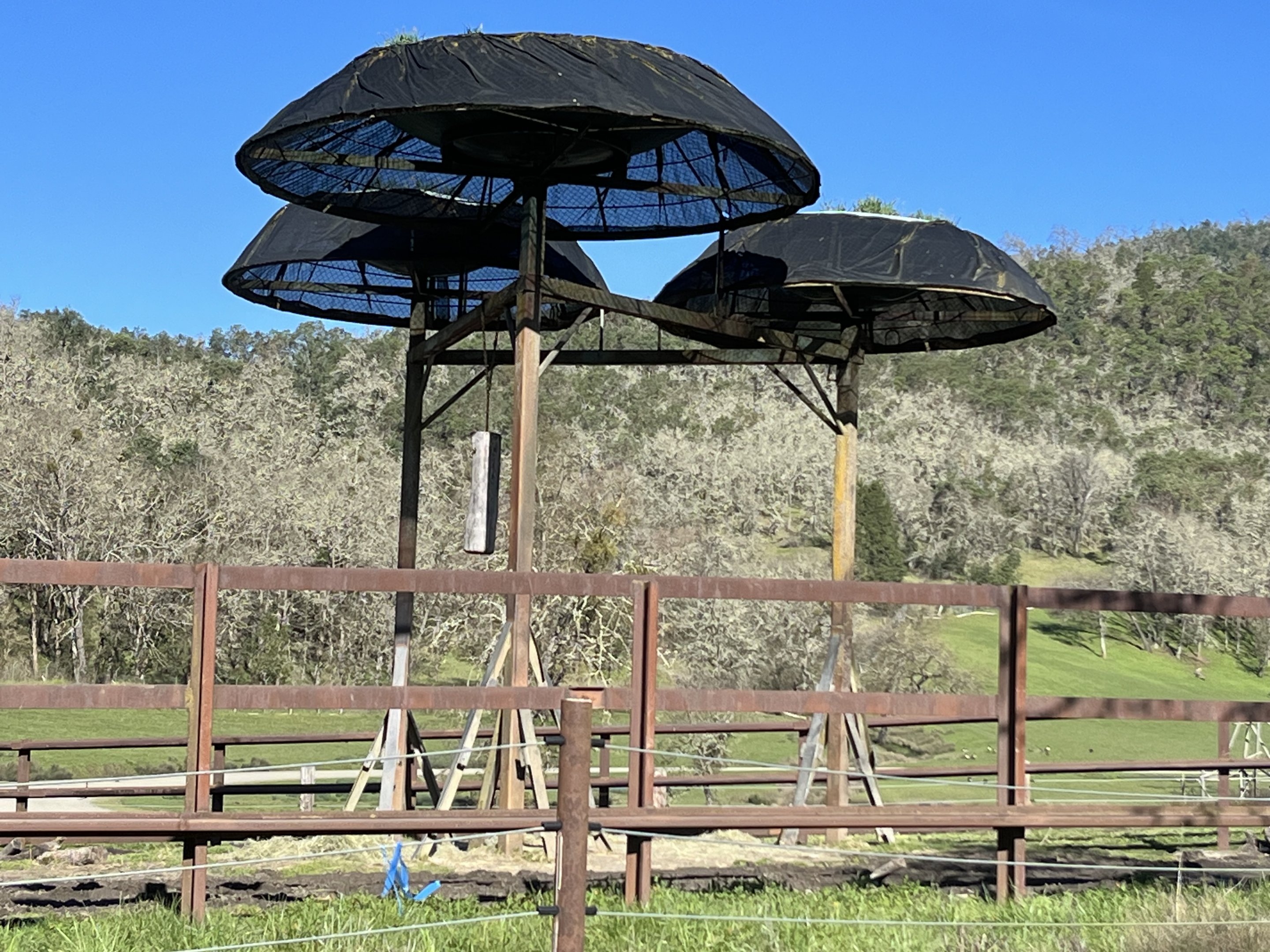 African Elephant Utilitrees