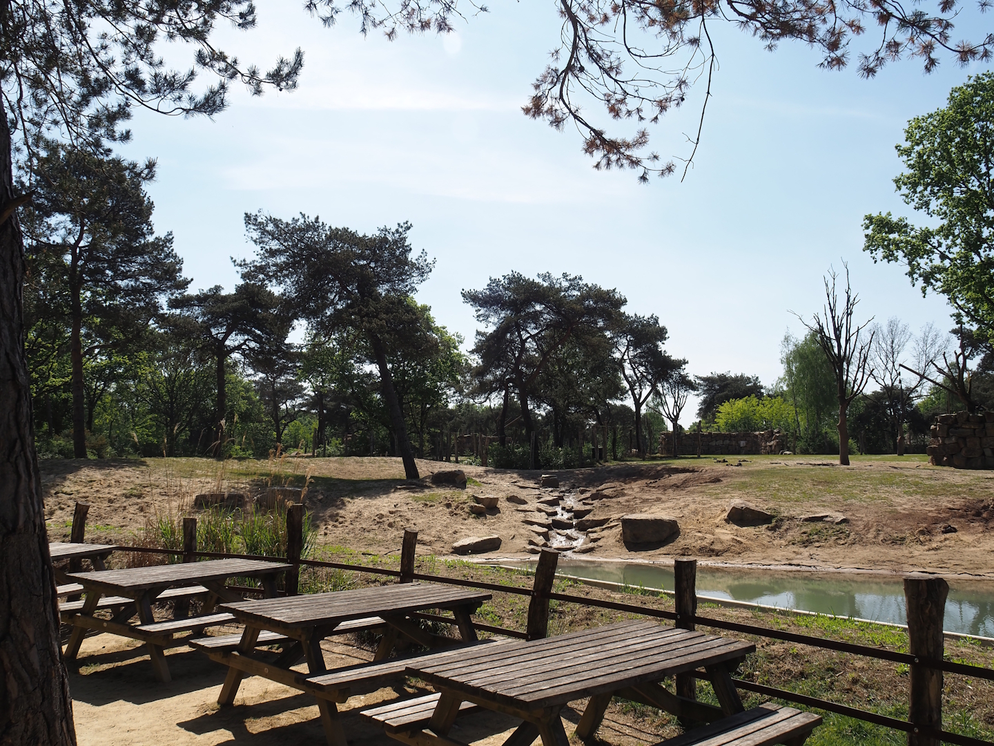 African elephant valley and eating area next to it, 2025-04-30