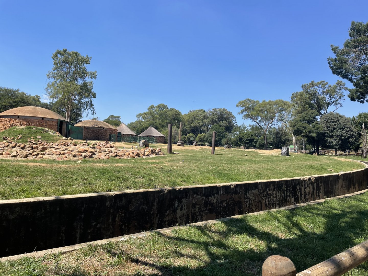 African Elephant Yard #1