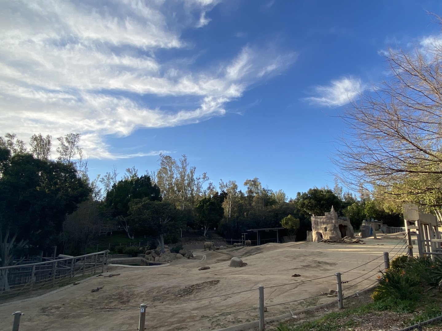 African Elephant Yard #2 - Elephant Valley